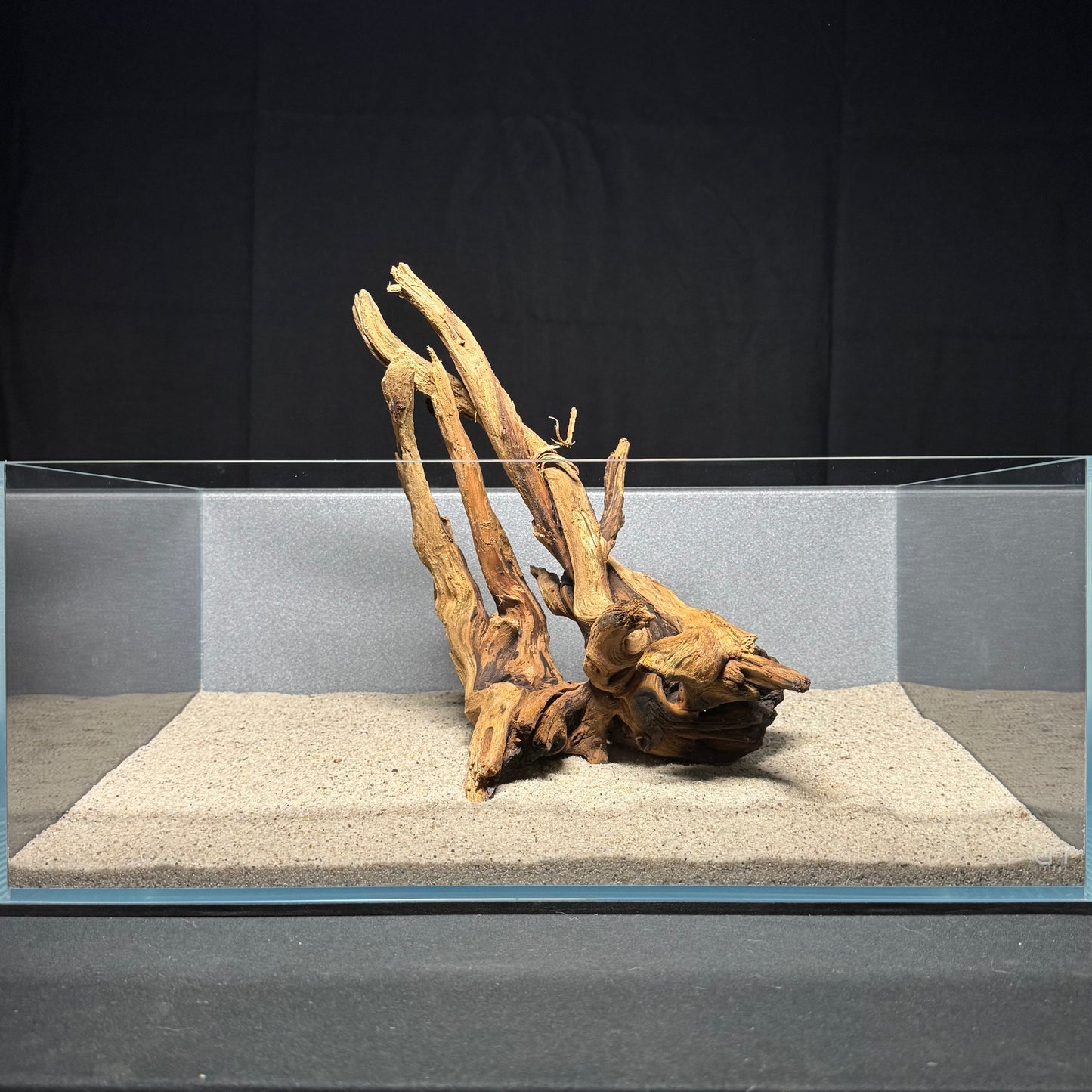 12”-14” Malaysian Driftwood