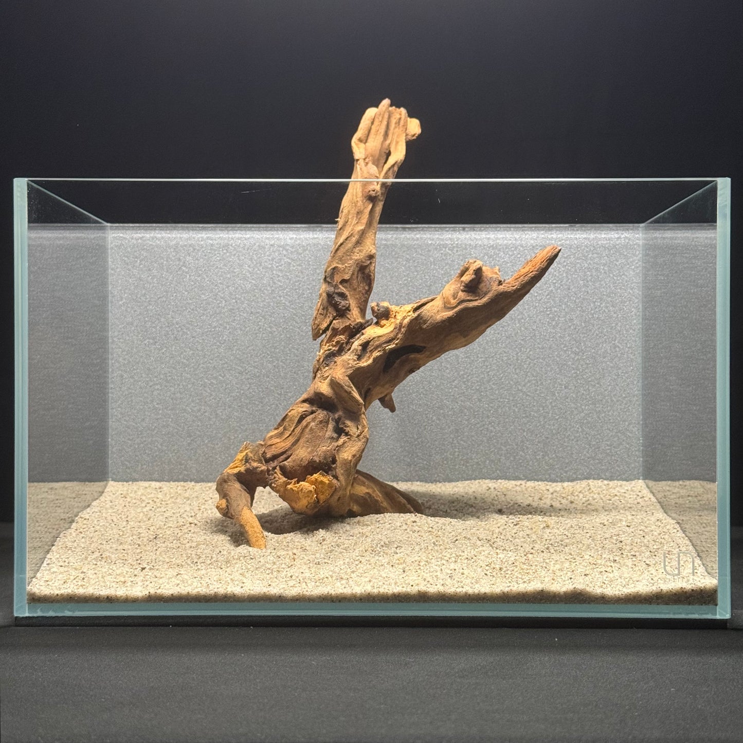 7”-11” Malaysian Driftwood