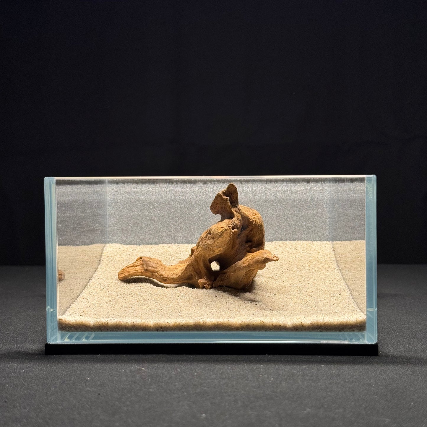4”-6” Malaysian Driftwood