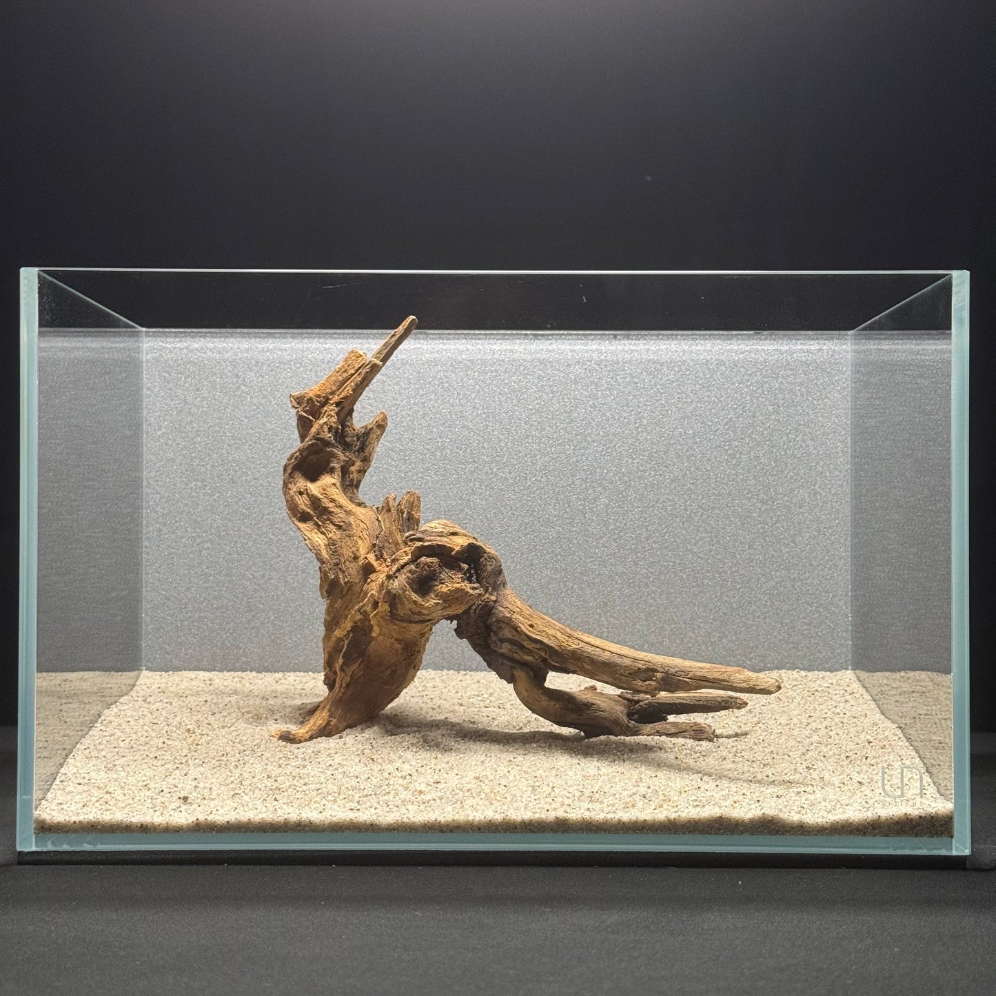 9”-11” Malaysian Driftwood