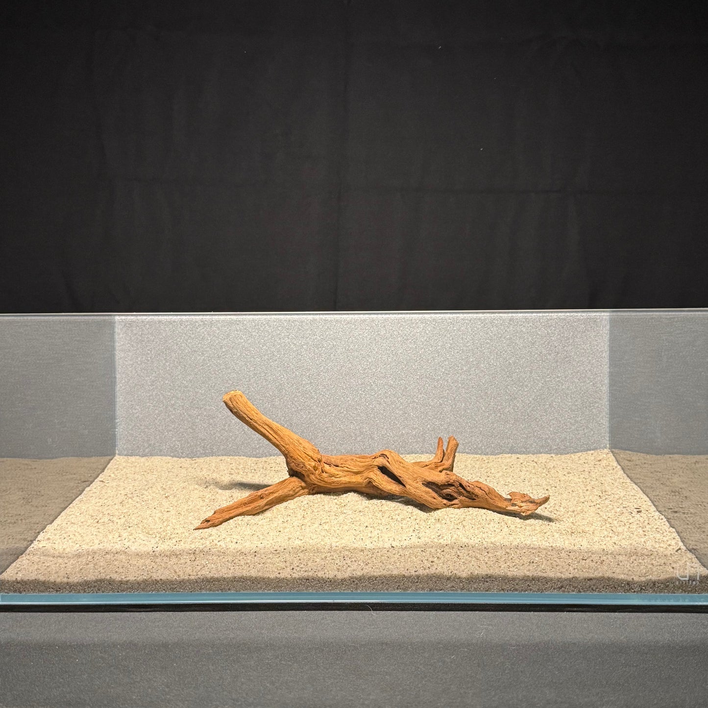 10”-12” Malaysian Driftwood