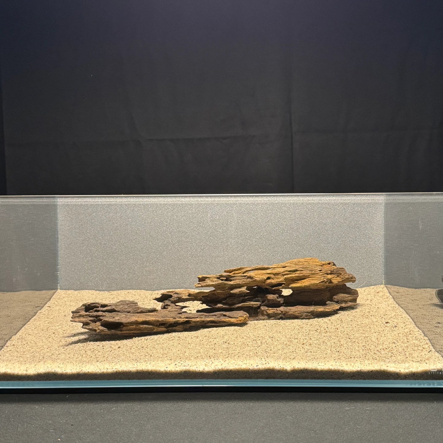 Dragon Wood for Aquarium (12-16")
