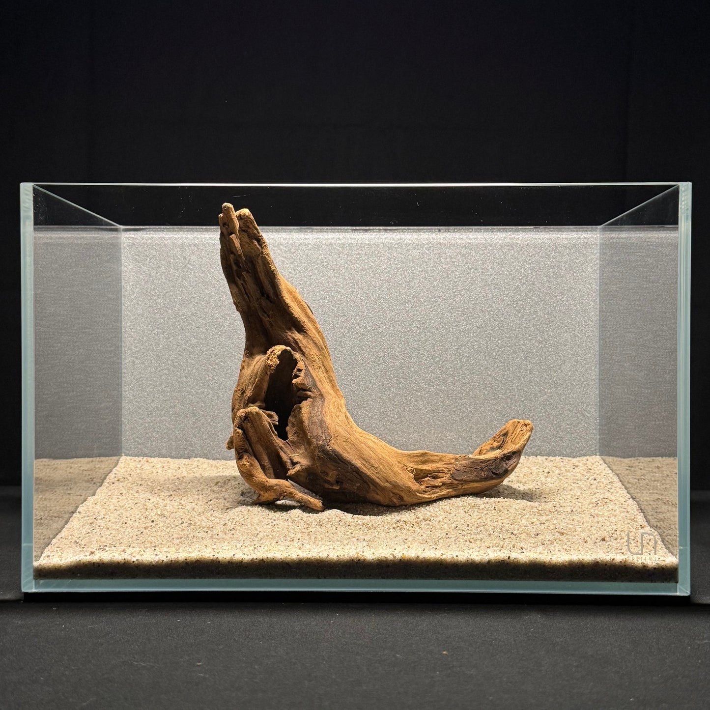 8”-10” Malaysian Driftwood