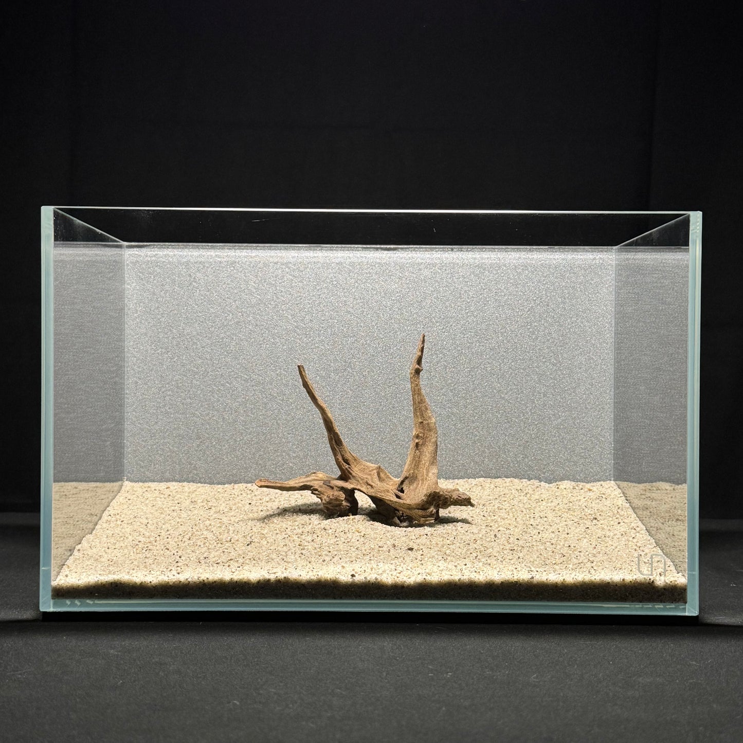 4”-6” Malaysian Driftwood