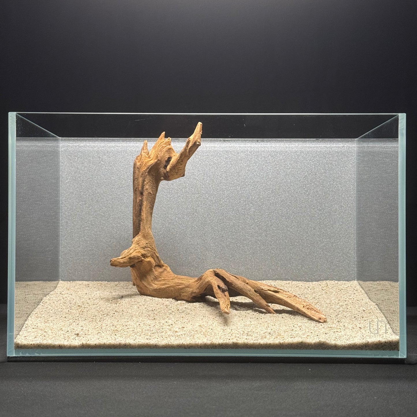 9”-11” Malaysian Driftwood