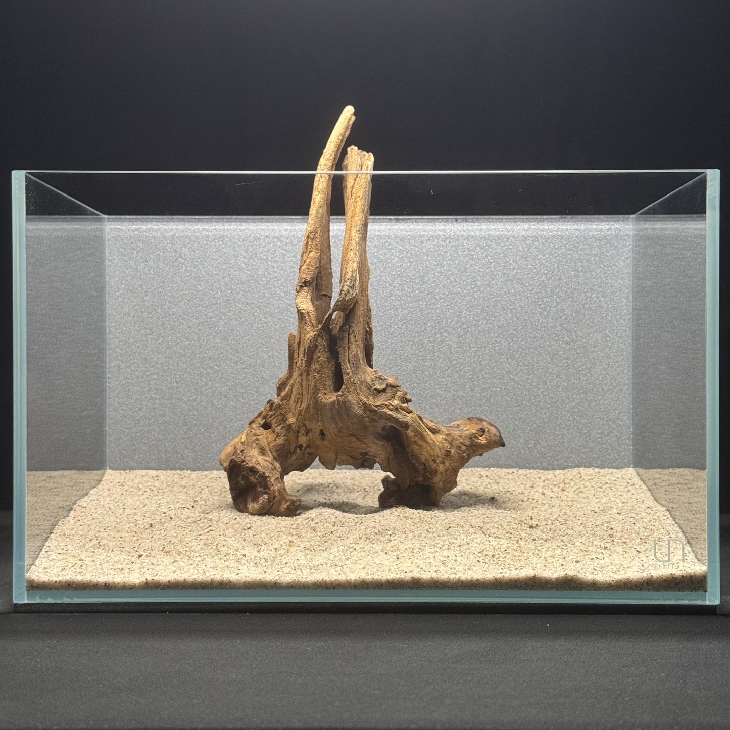 7”-11” Malaysian Driftwood