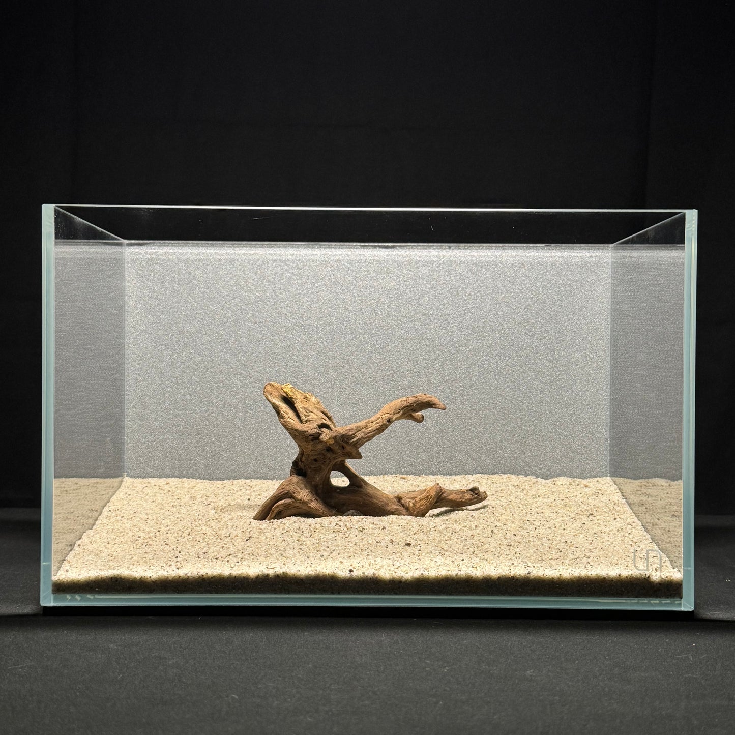 4”-6” Malaysian Driftwood