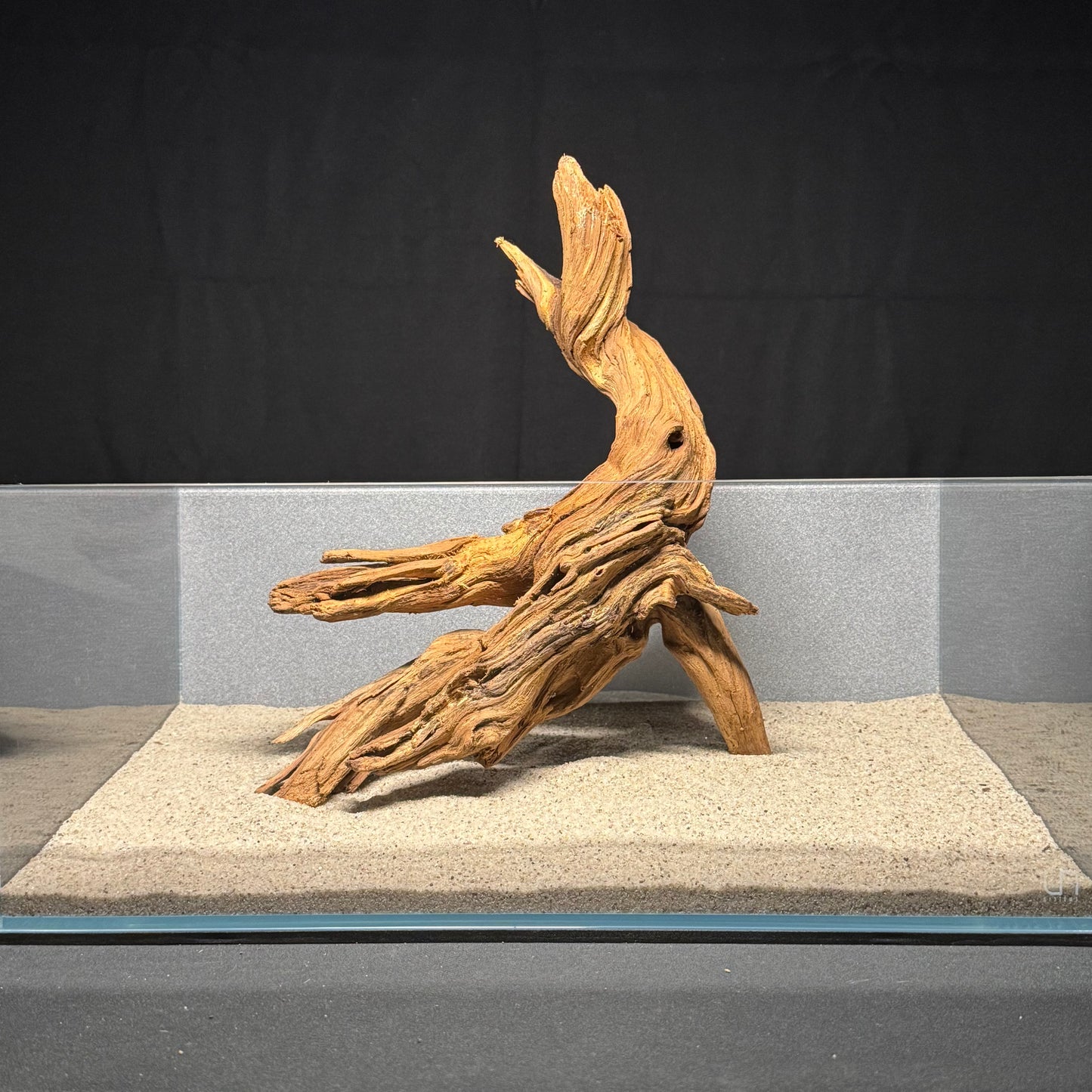 12”-16” Malaysian Driftwood