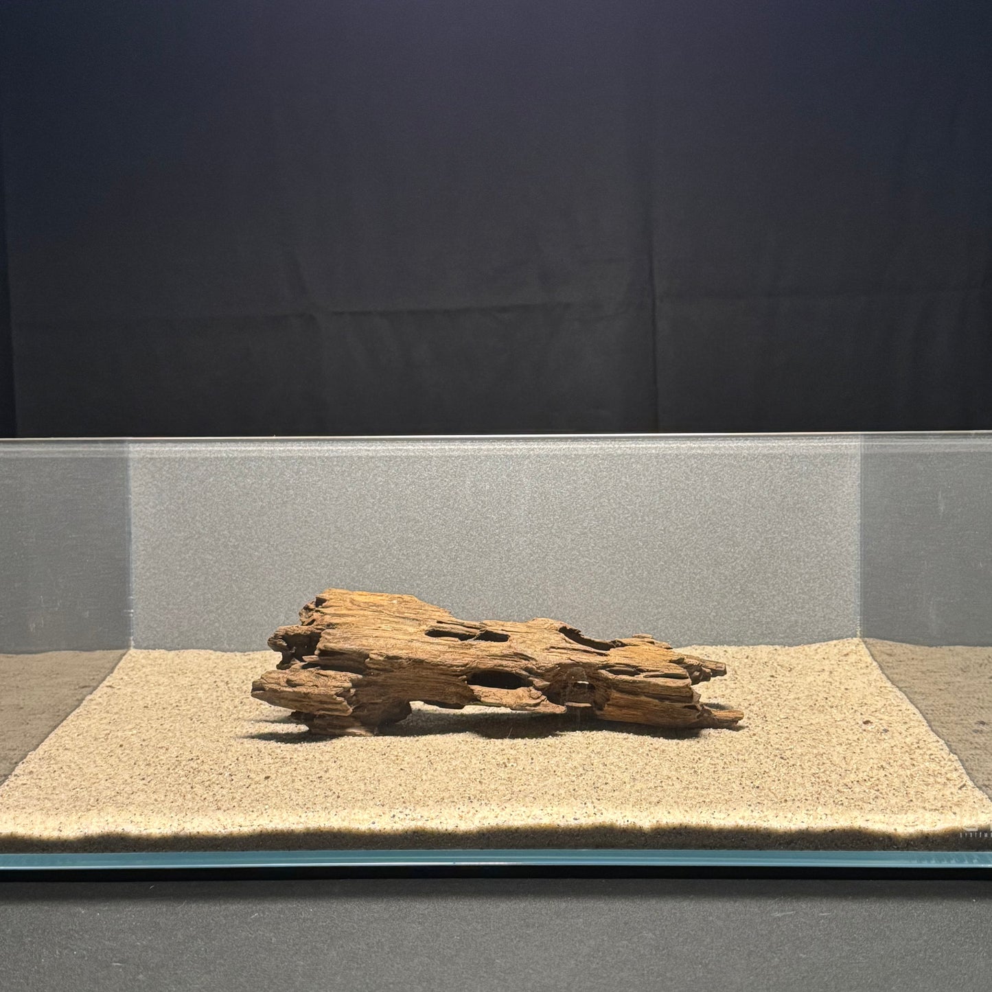 9”-14” Dragon Wood