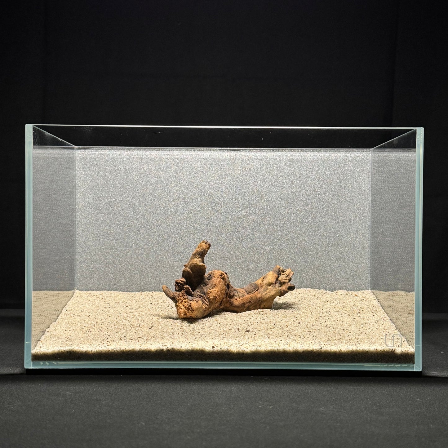 4”-6” Malaysian Driftwood