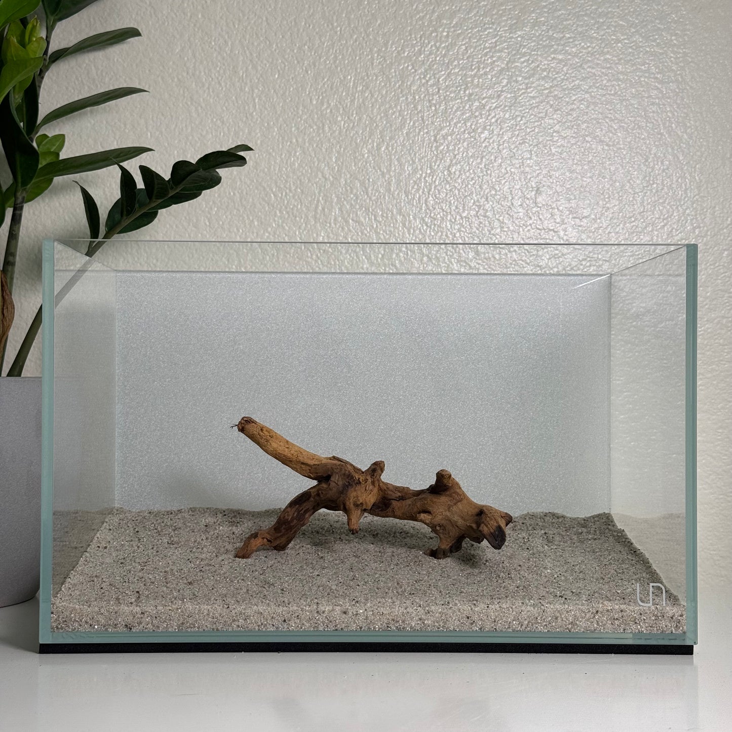 6"-8" Malaysian Driftwood