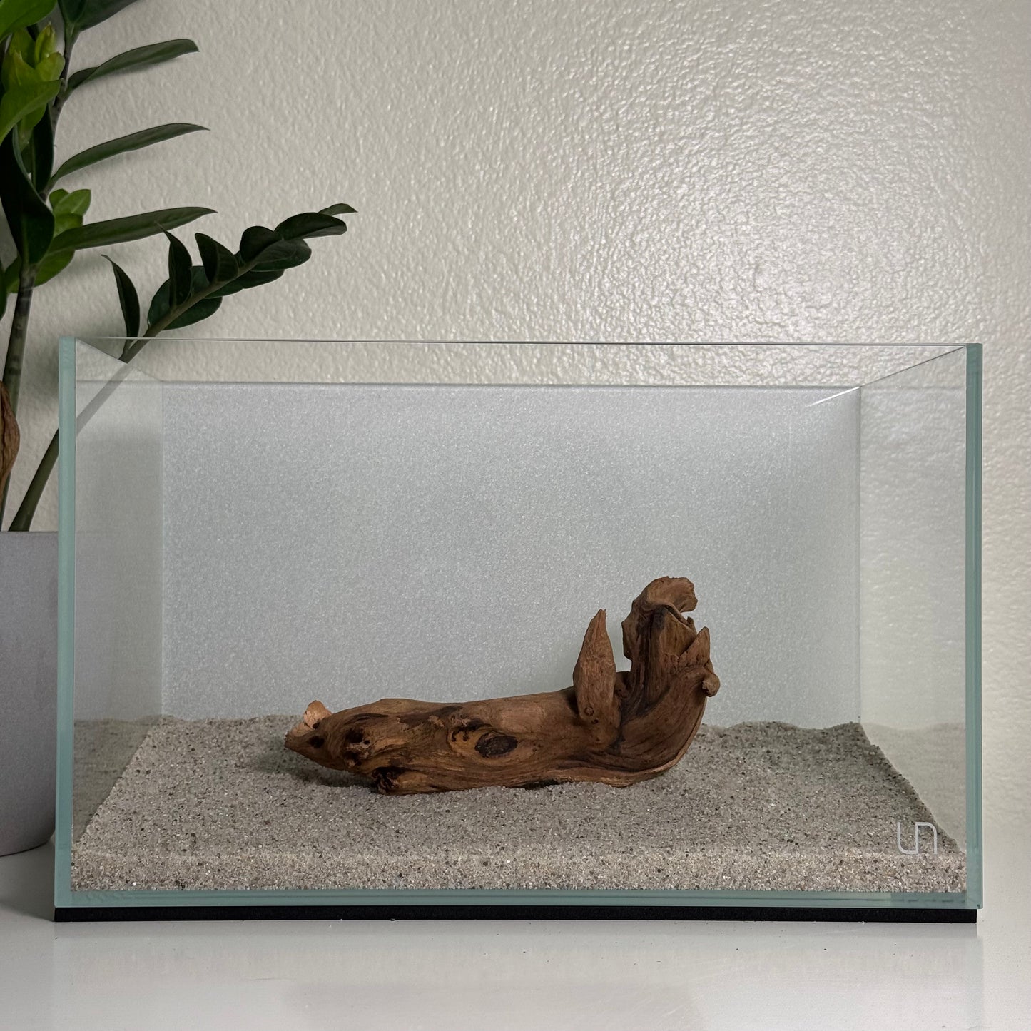 6"-8" Malaysian Driftwood