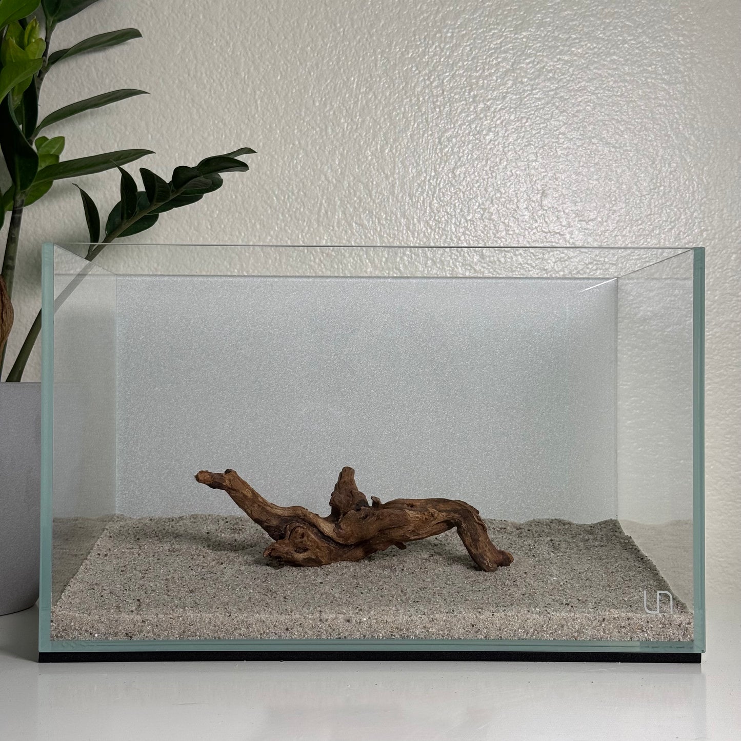 6"-8" Malaysian Driftwood