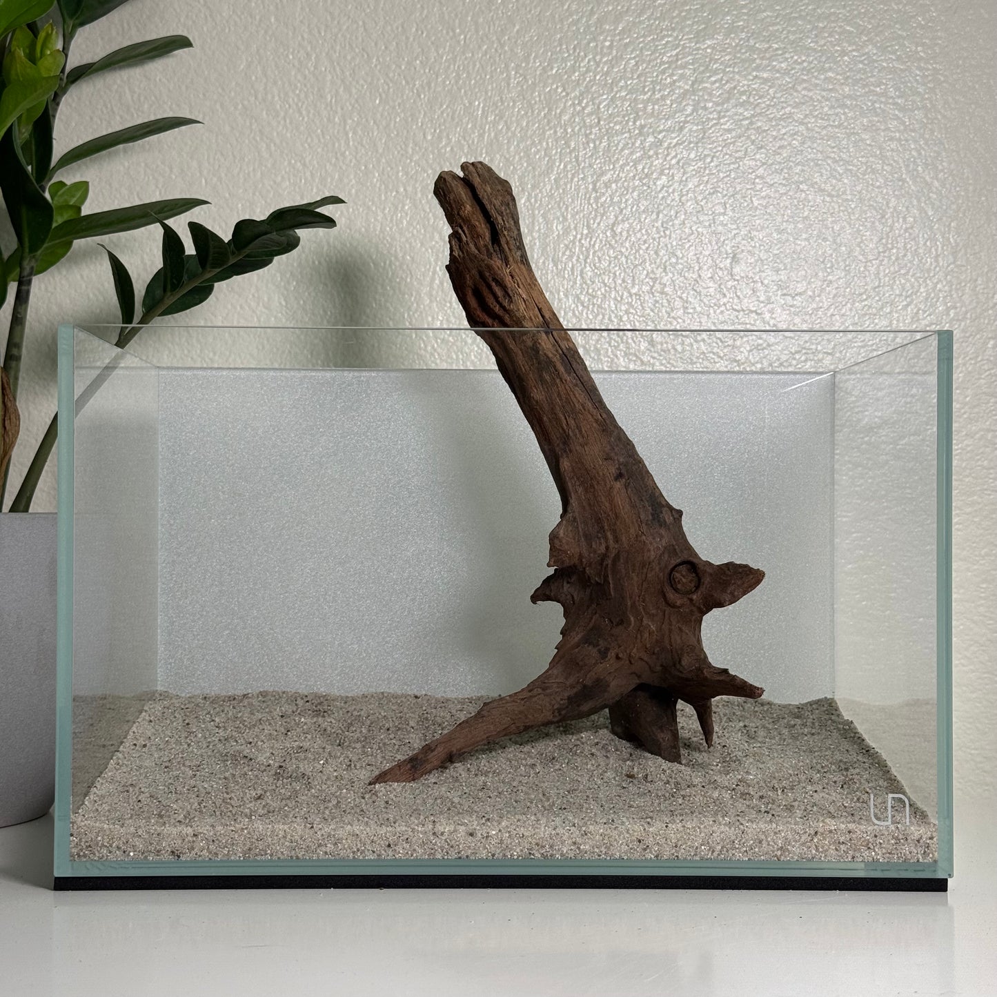 10"-12" Malaysian Driftwood