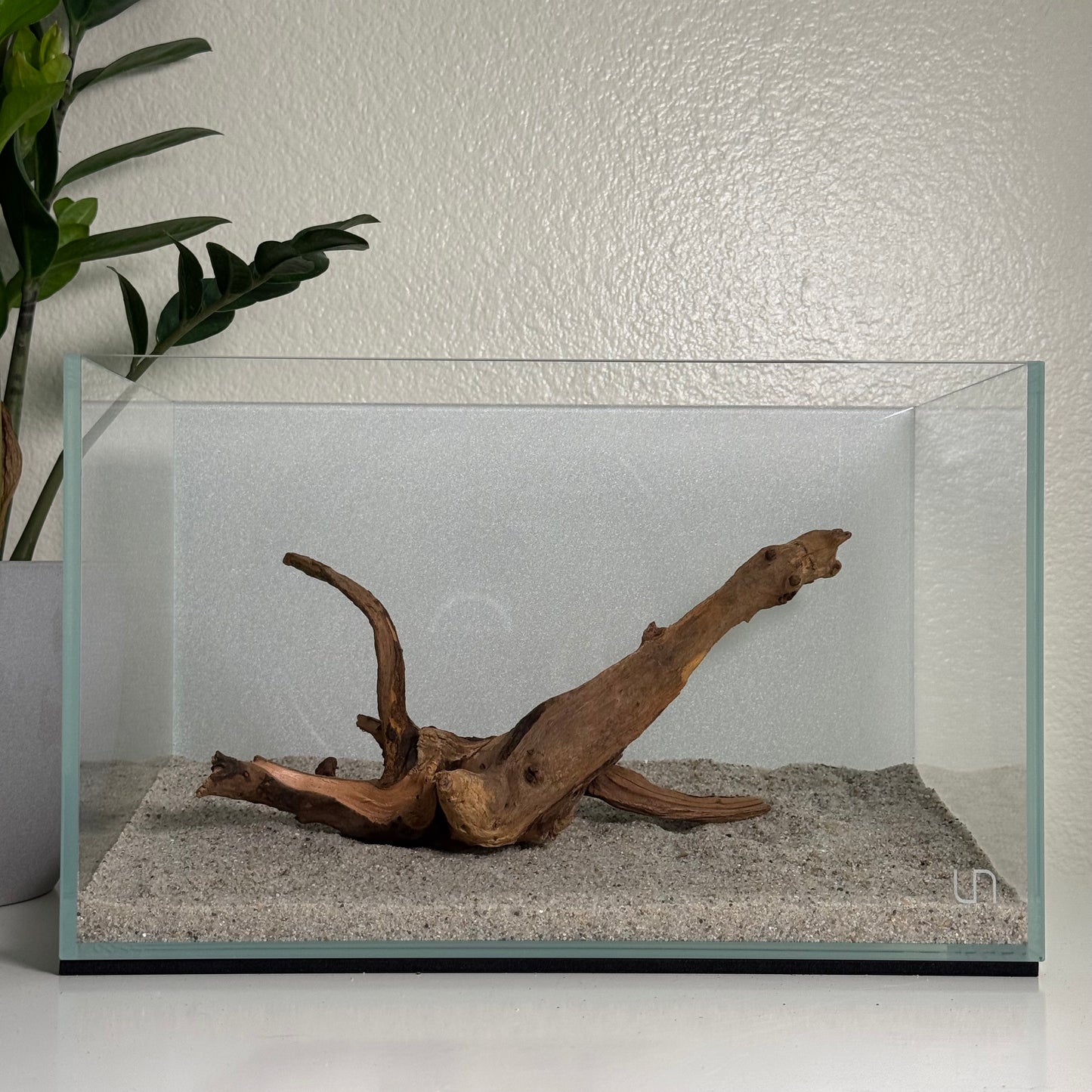 10"-12" Malaysian Driftwood