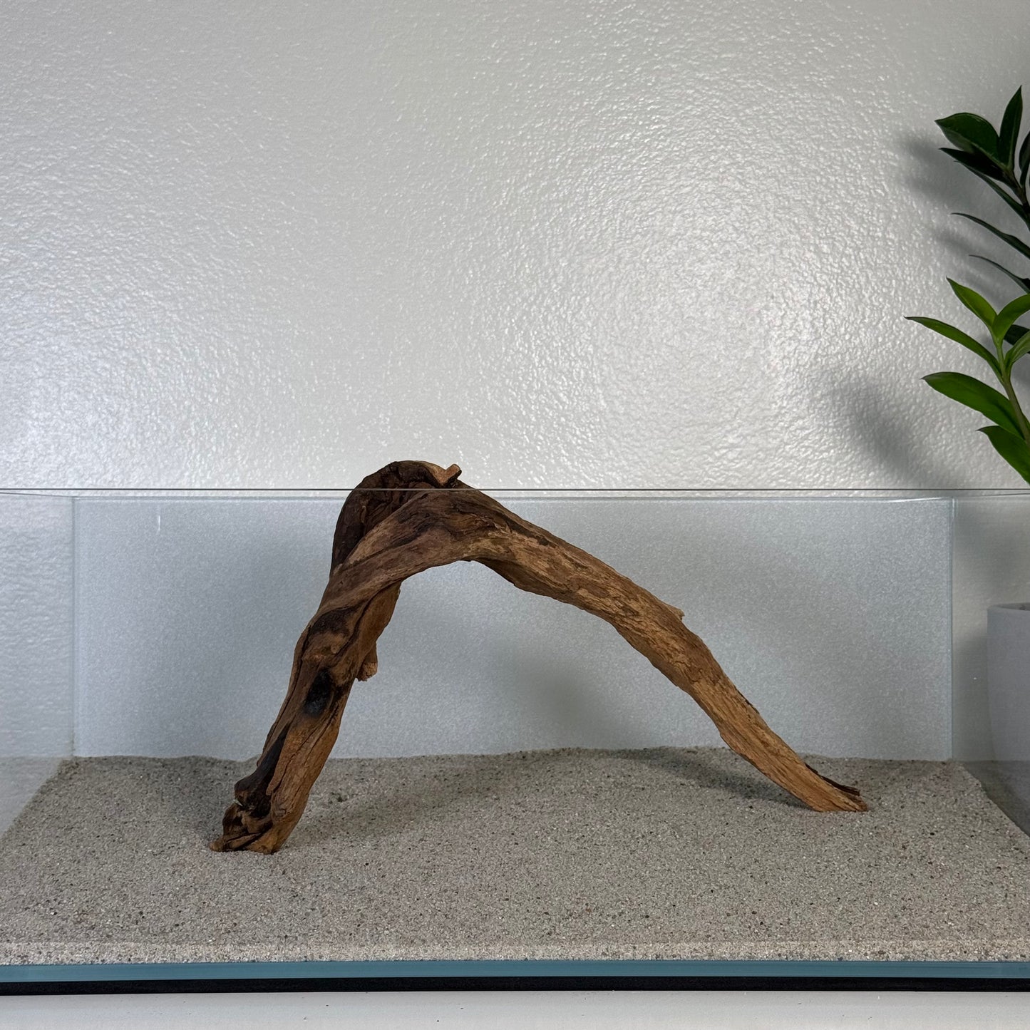 8"-12" Malaysian Driftwood