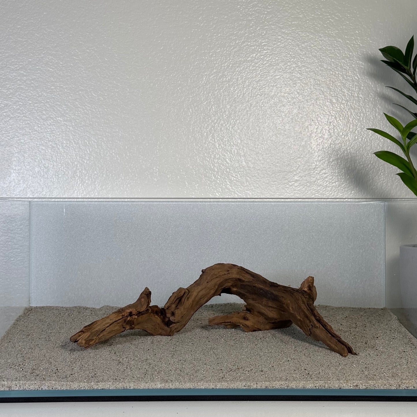 8"-12" Malaysian Driftwood