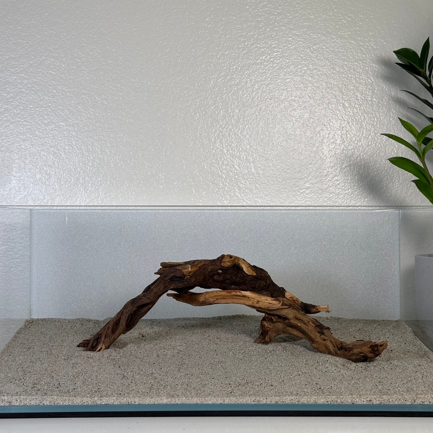 8"-12" Malaysian Driftwood