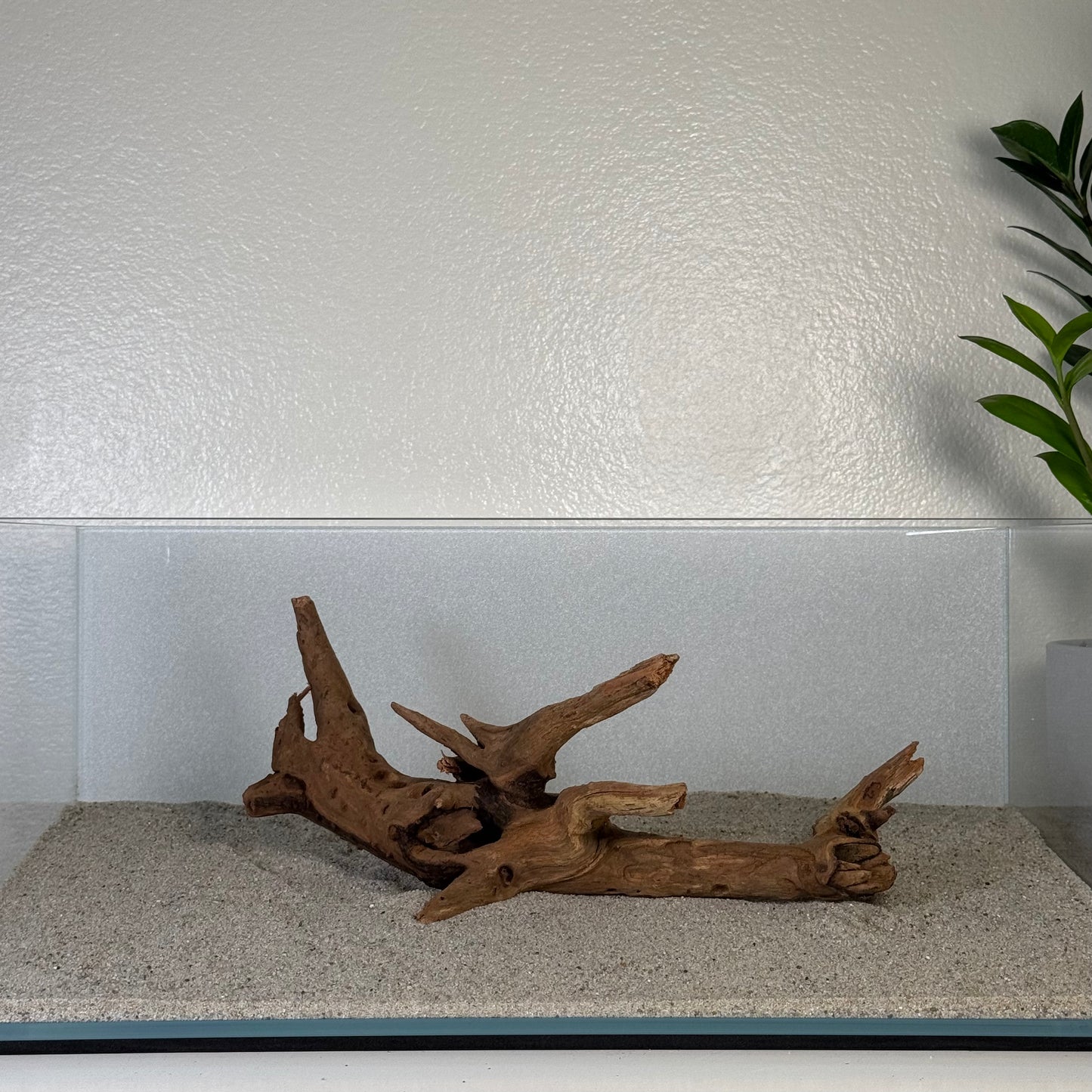 8"-12" Malaysian Driftwood
