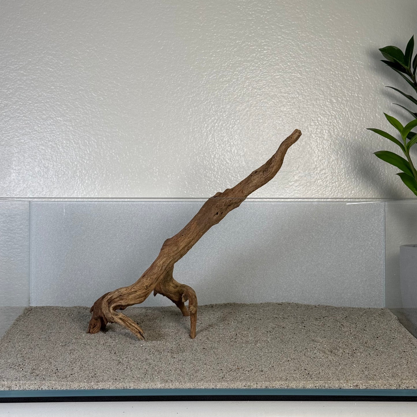 8"-12" Malaysian Driftwood
