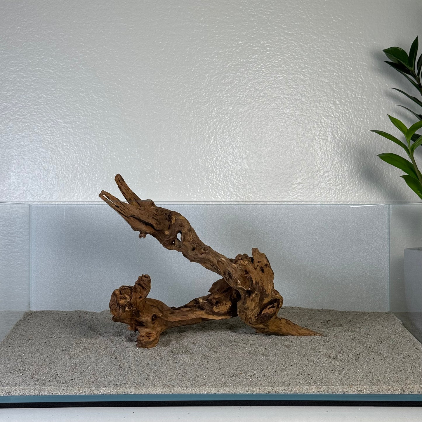 8"-12" Malaysian Driftwood