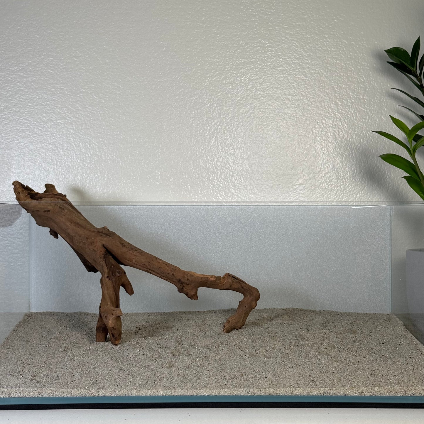 8"-12" Malaysian Driftwood