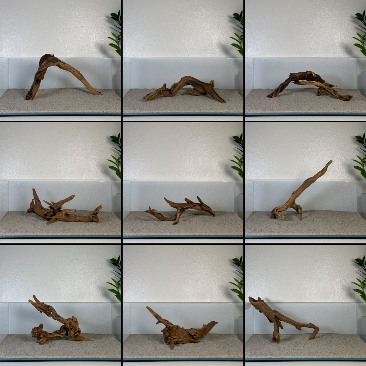 8"-12" Malaysian Driftwood