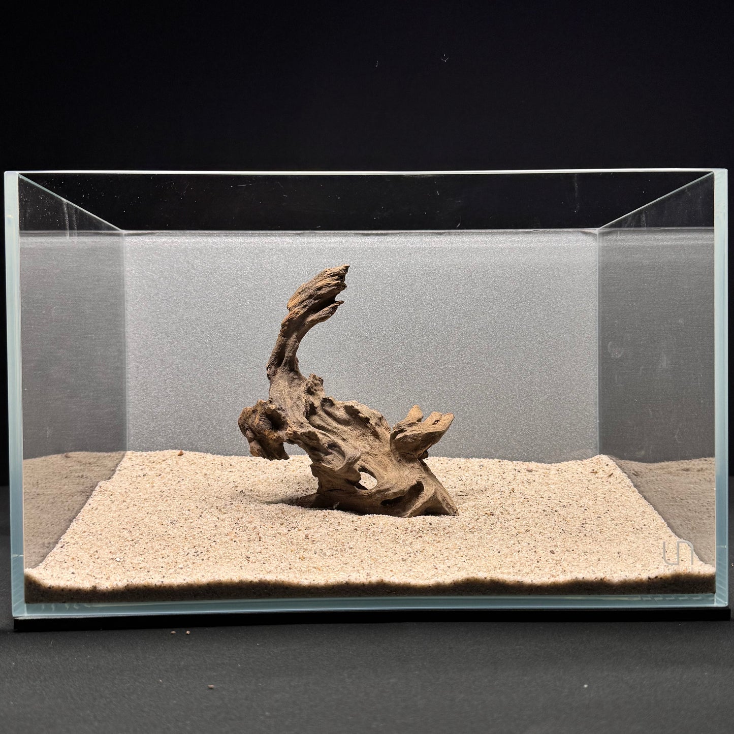 Dragon Wood for Aquarium (3-6")