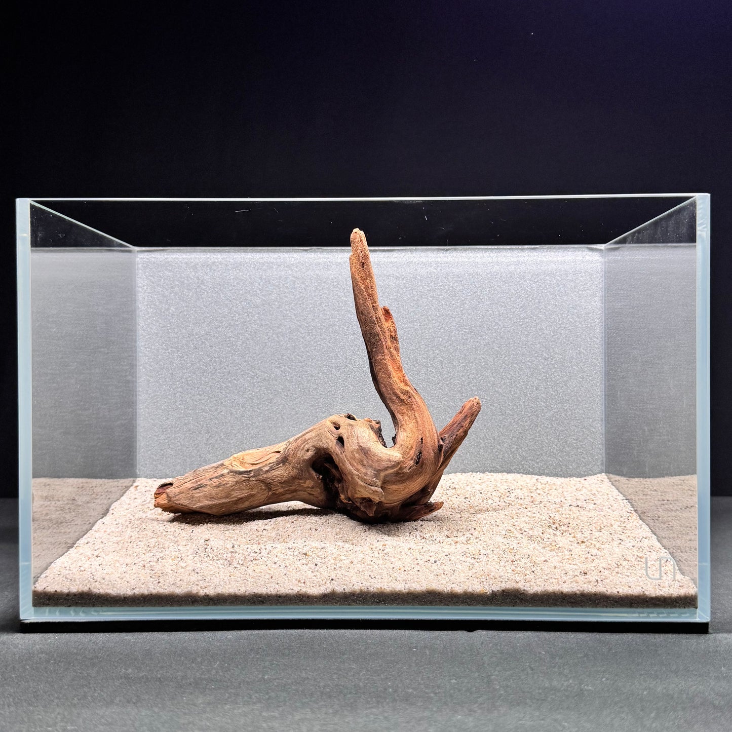 Malaysian Driftwood for Aquarium (6-8")