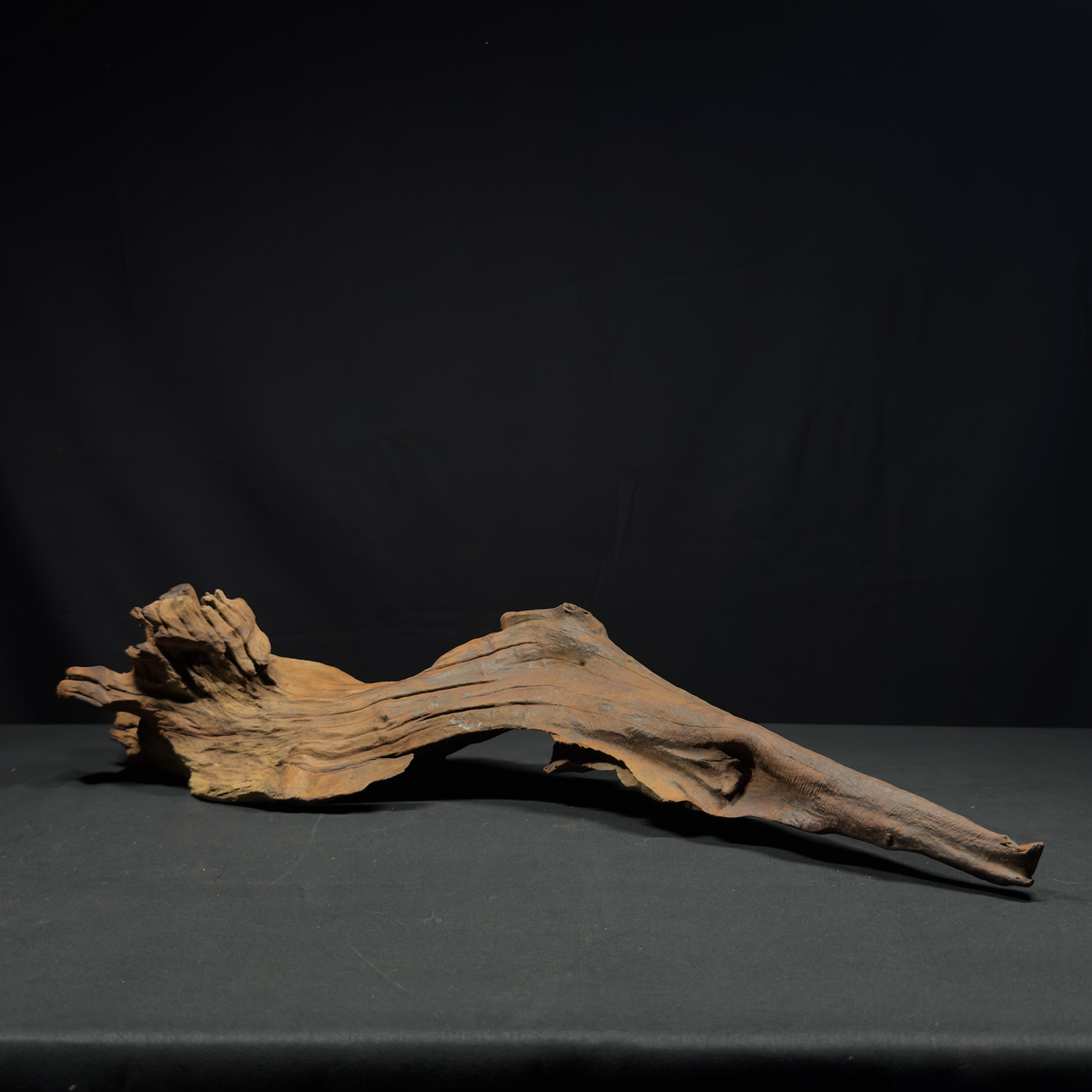 24” Malaysian Driftwood for Aquarium