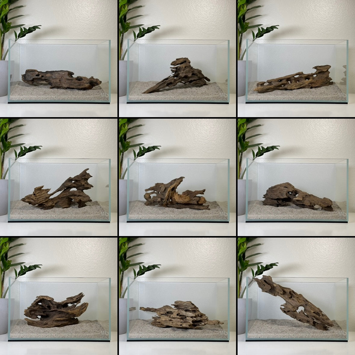 Dragon Wood