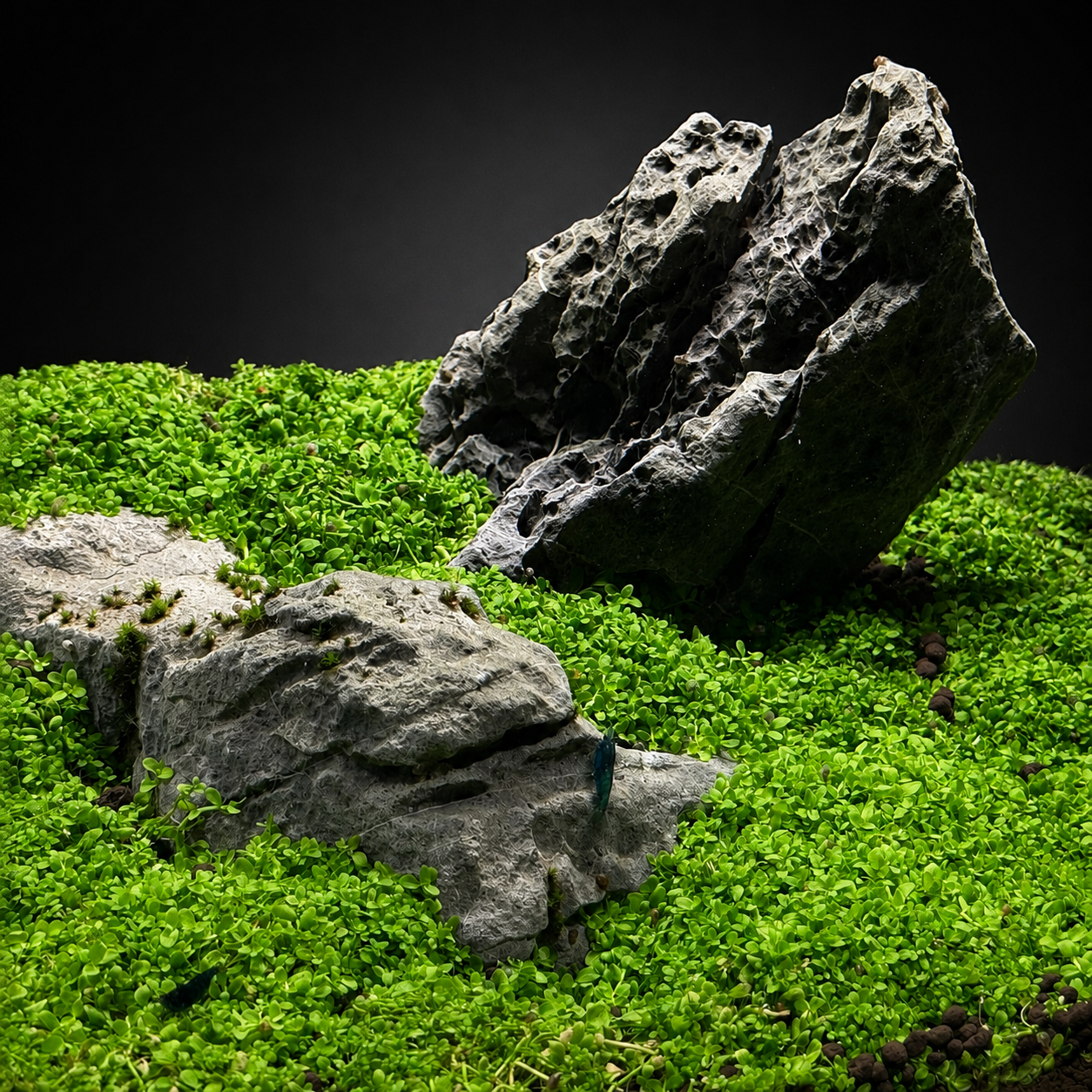 Seiryu Stone