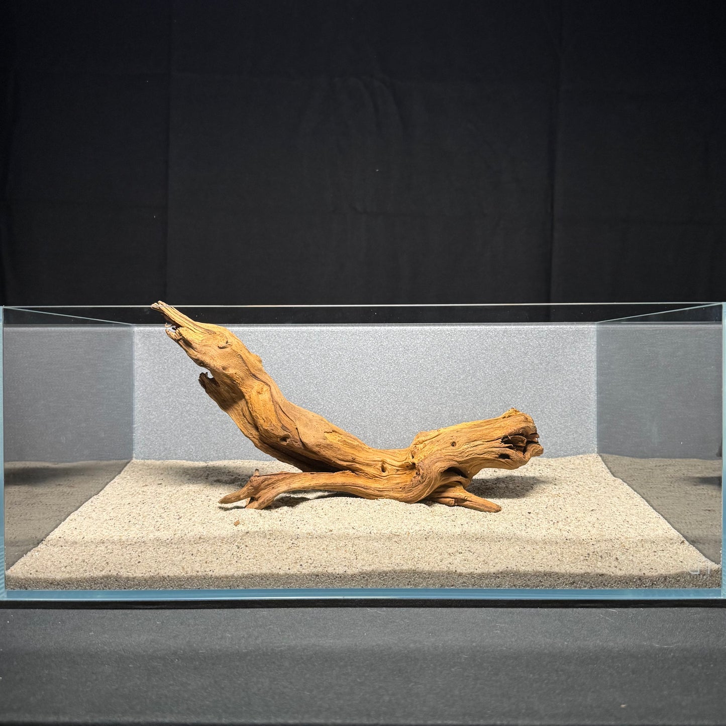 11”-14” Malaysian Driftwood