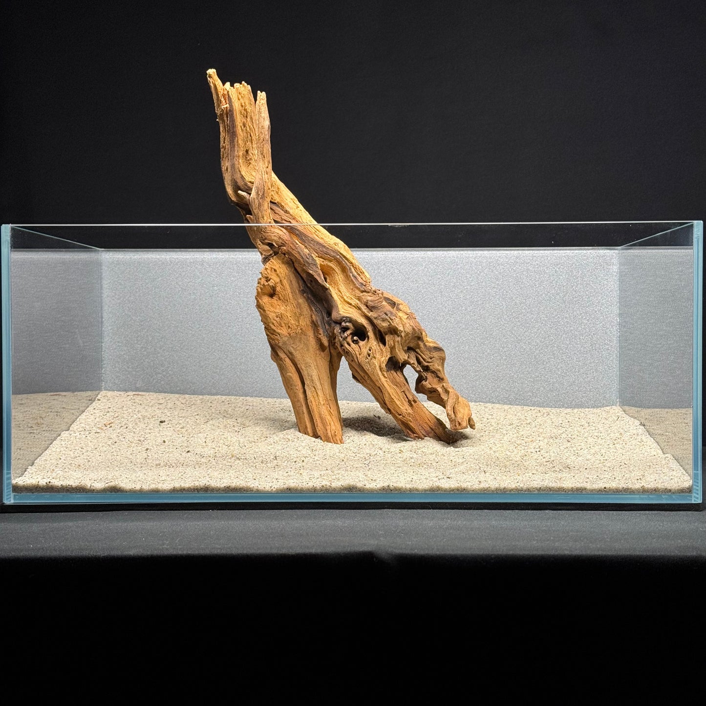 12”-14” Malaysian Driftwood