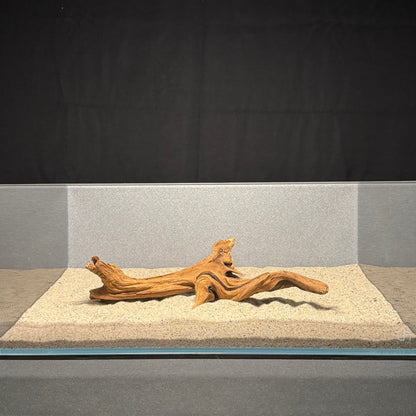 10”-12” Malaysian Driftwood