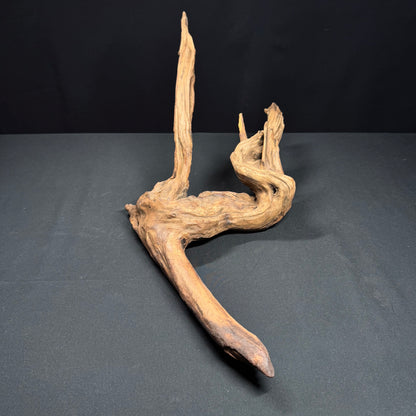 21” Malaysian Driftwood