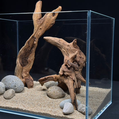2 Gallon Complete Nano Hardscape Setup