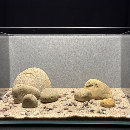 Custom Nano Stone Hardscape