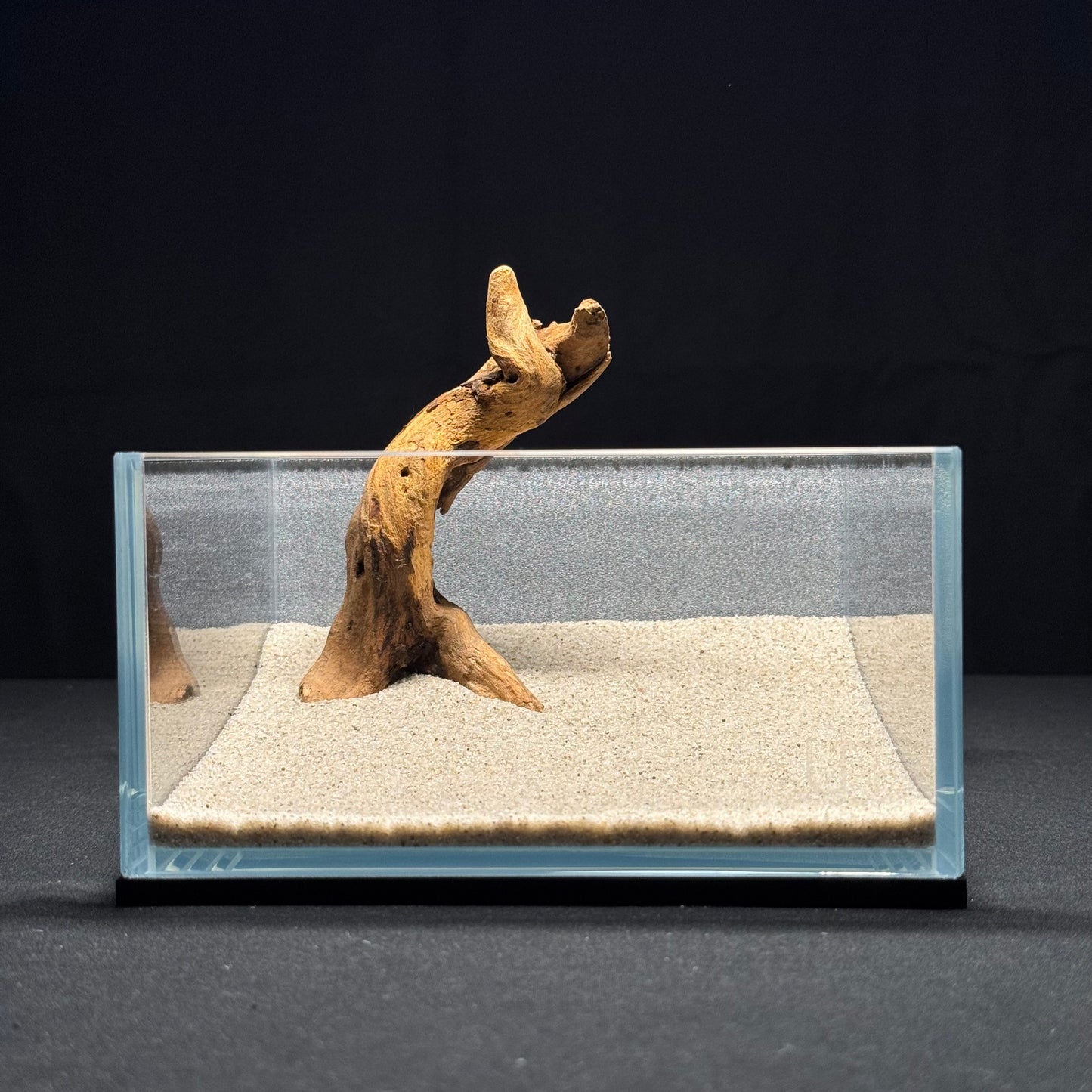 4”-6” Malaysian Driftwood