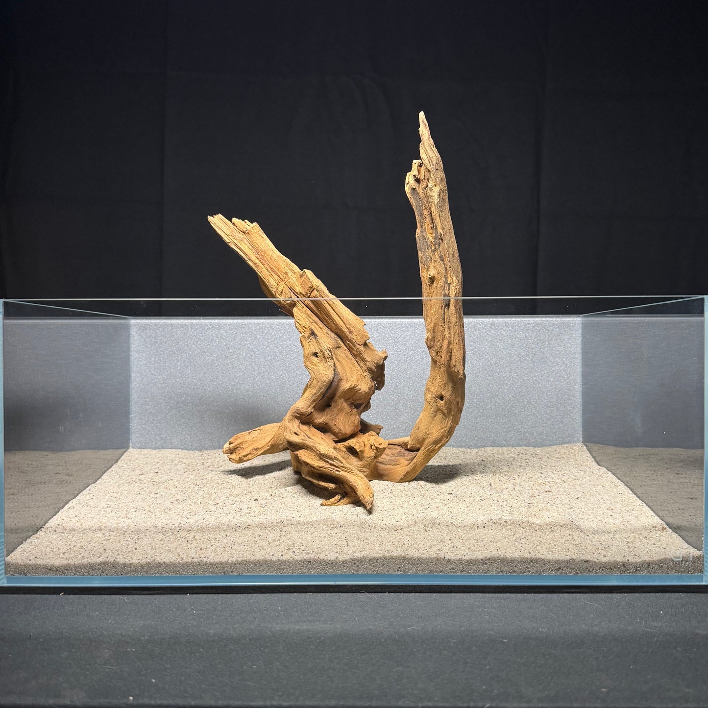 12”-14” Malaysian Driftwood