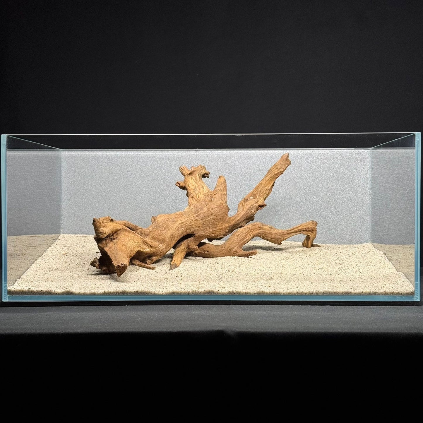 12”-14” Malaysian Driftwood