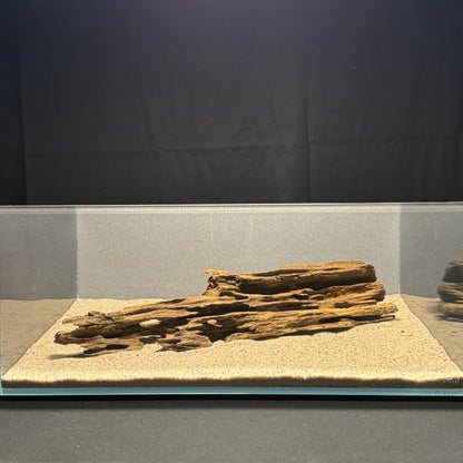 Dragon Wood for Aquarium (12-16")