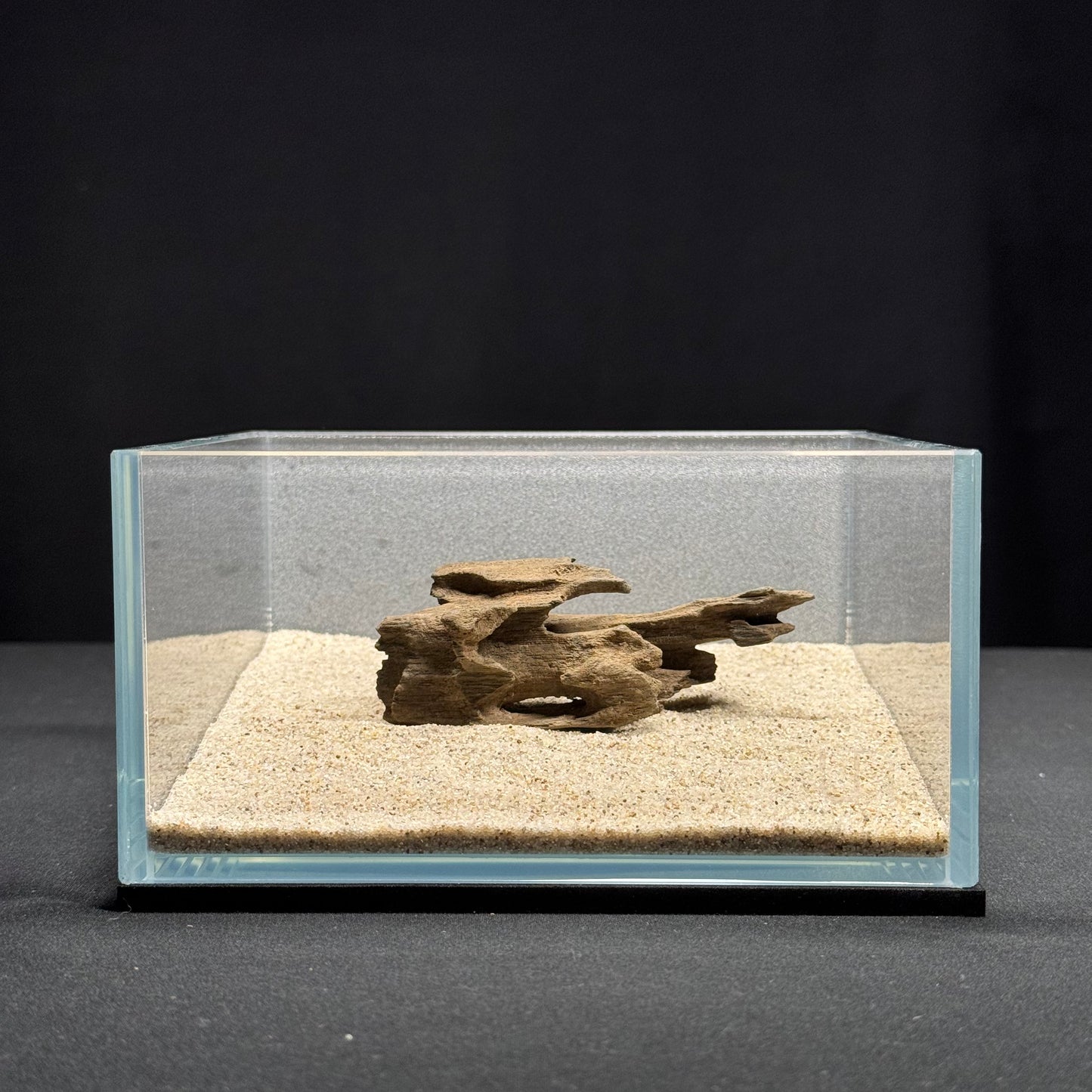 3”-5” Dragon Wood