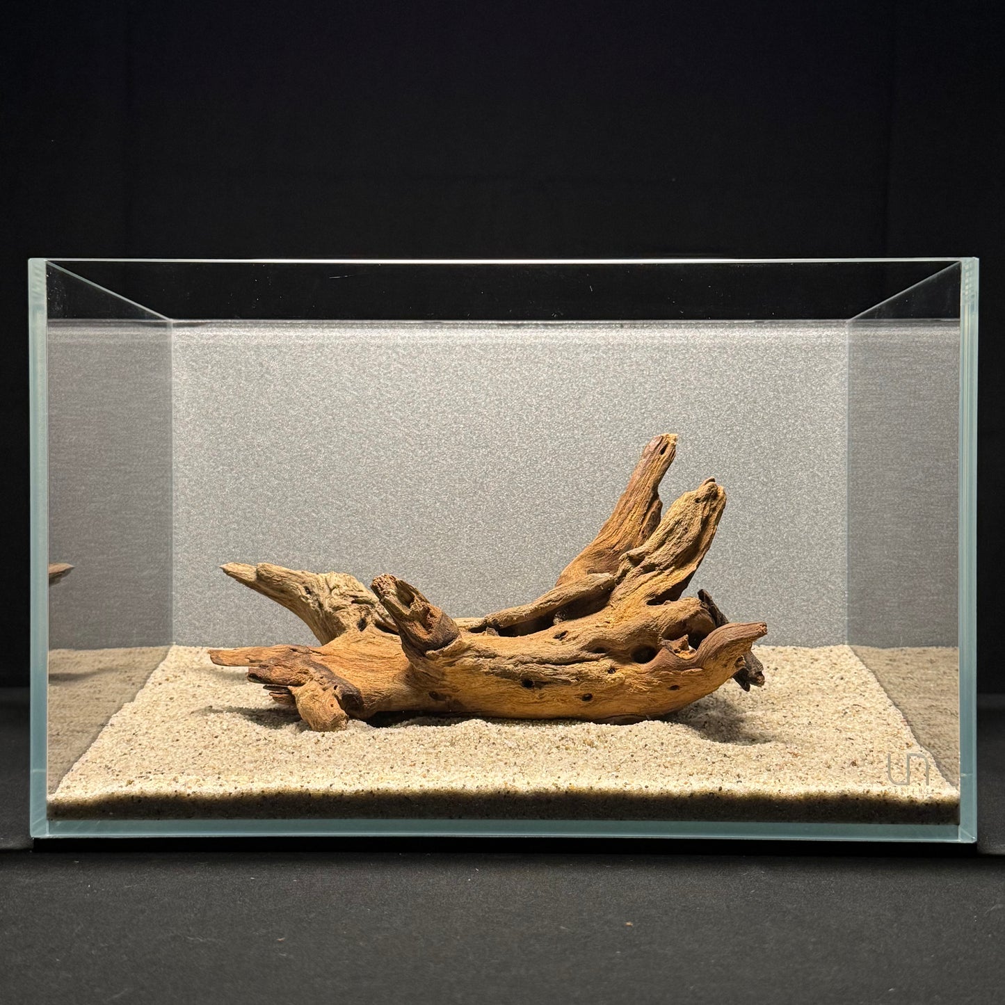 8”-10” Malaysian Driftwood