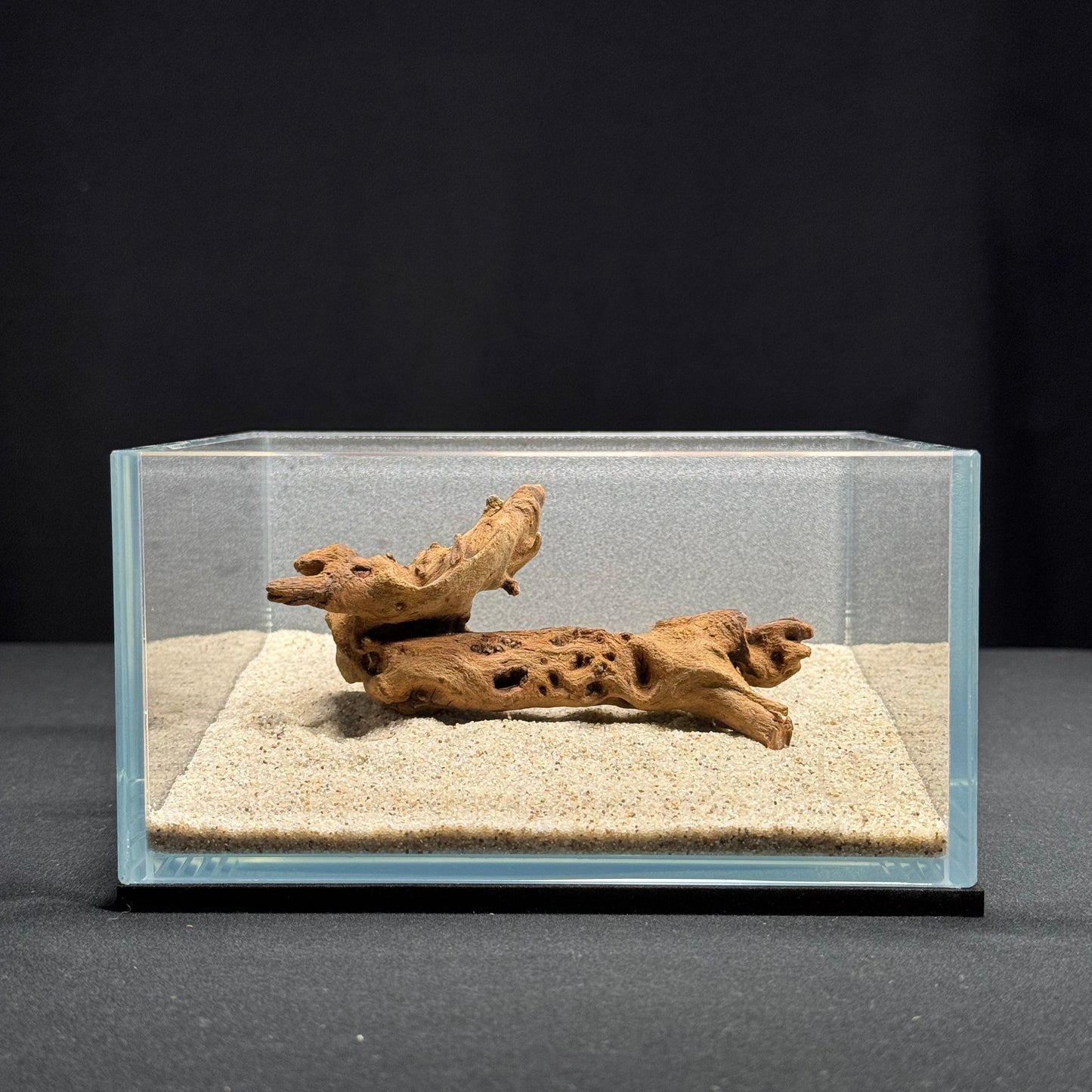 4”-6” Malaysian Driftwood (NEW)