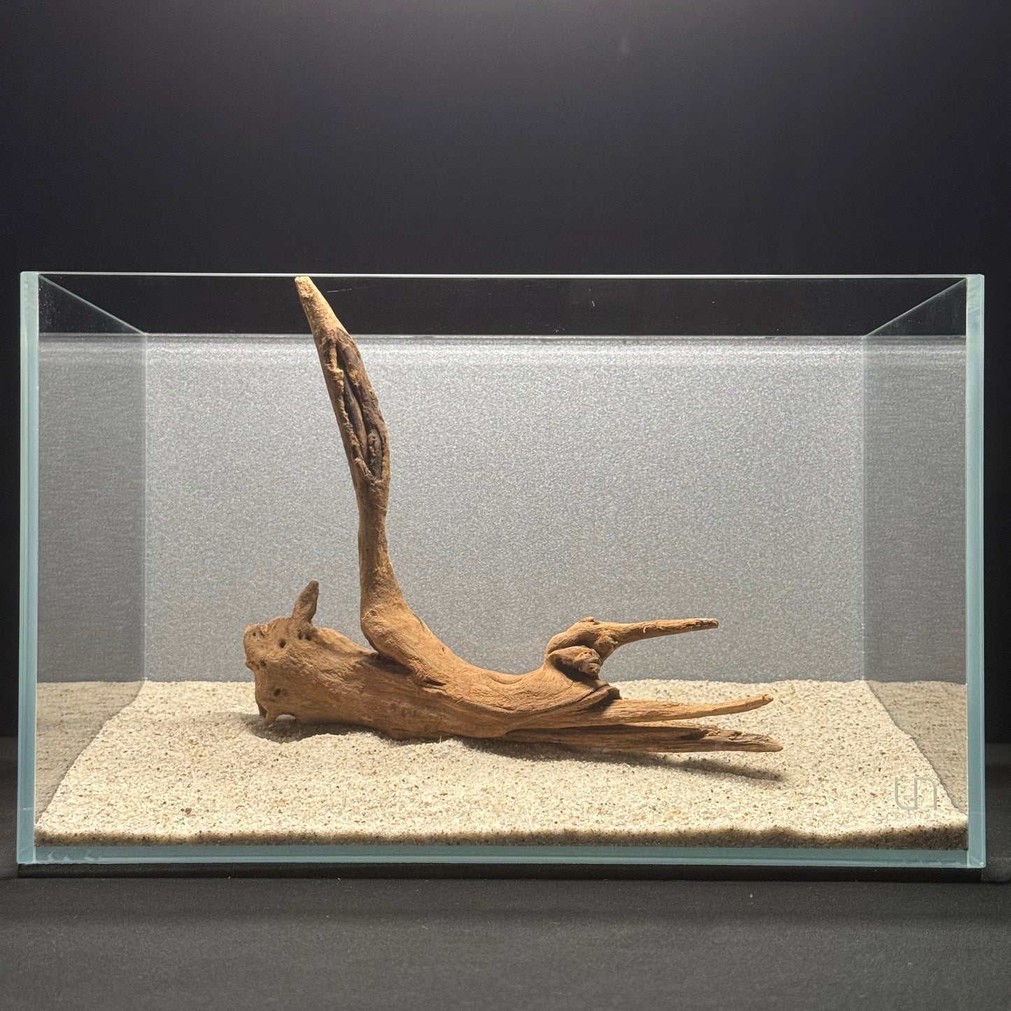 9”-11” Malaysian Driftwood