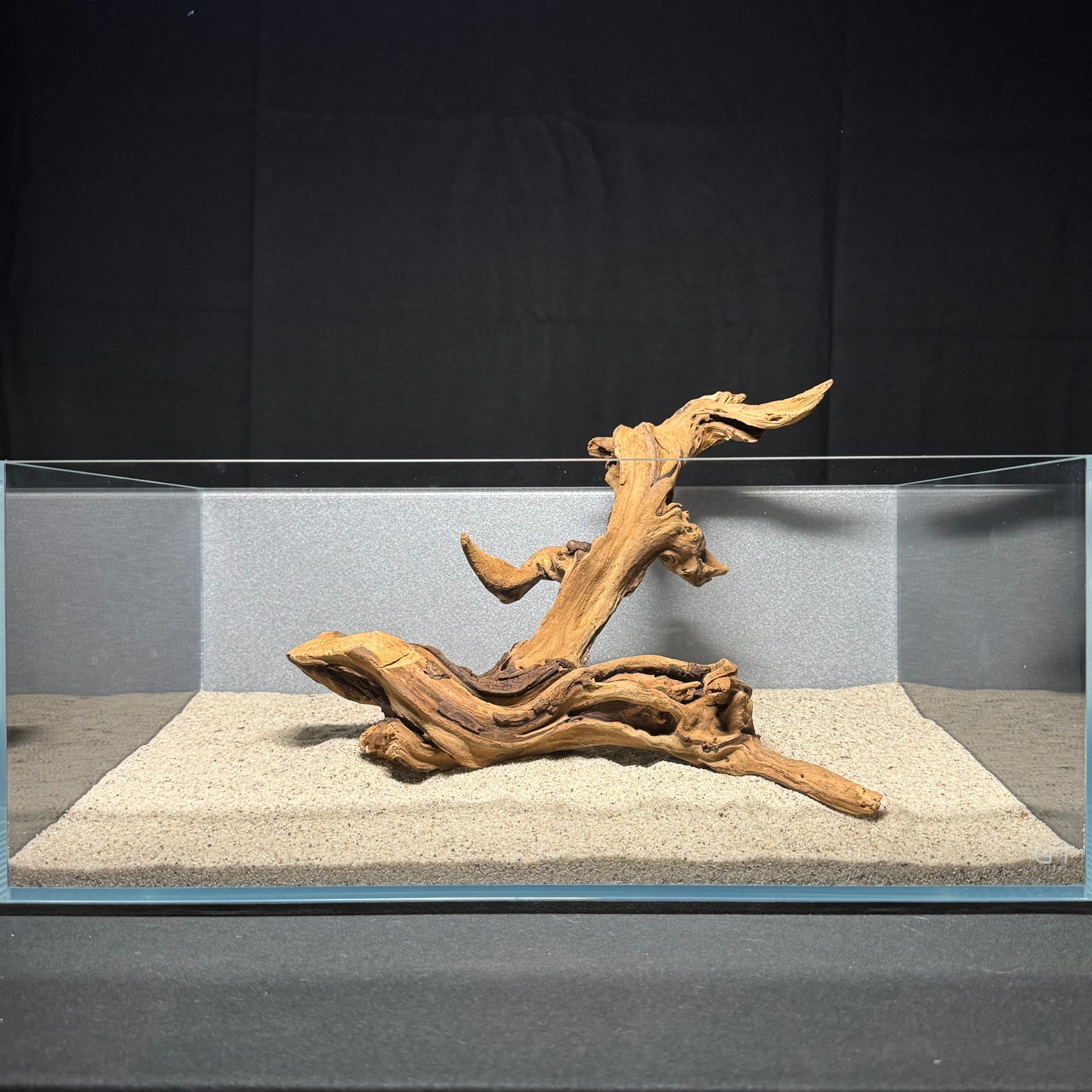 12”-14” Malaysian Driftwood