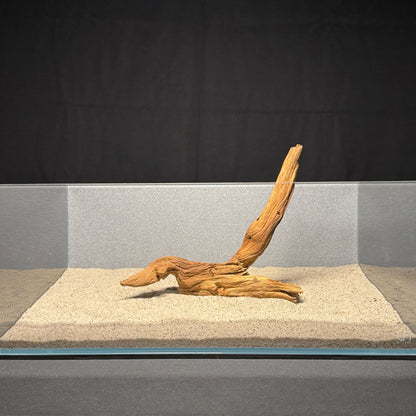 10”-12” Malaysian Driftwood