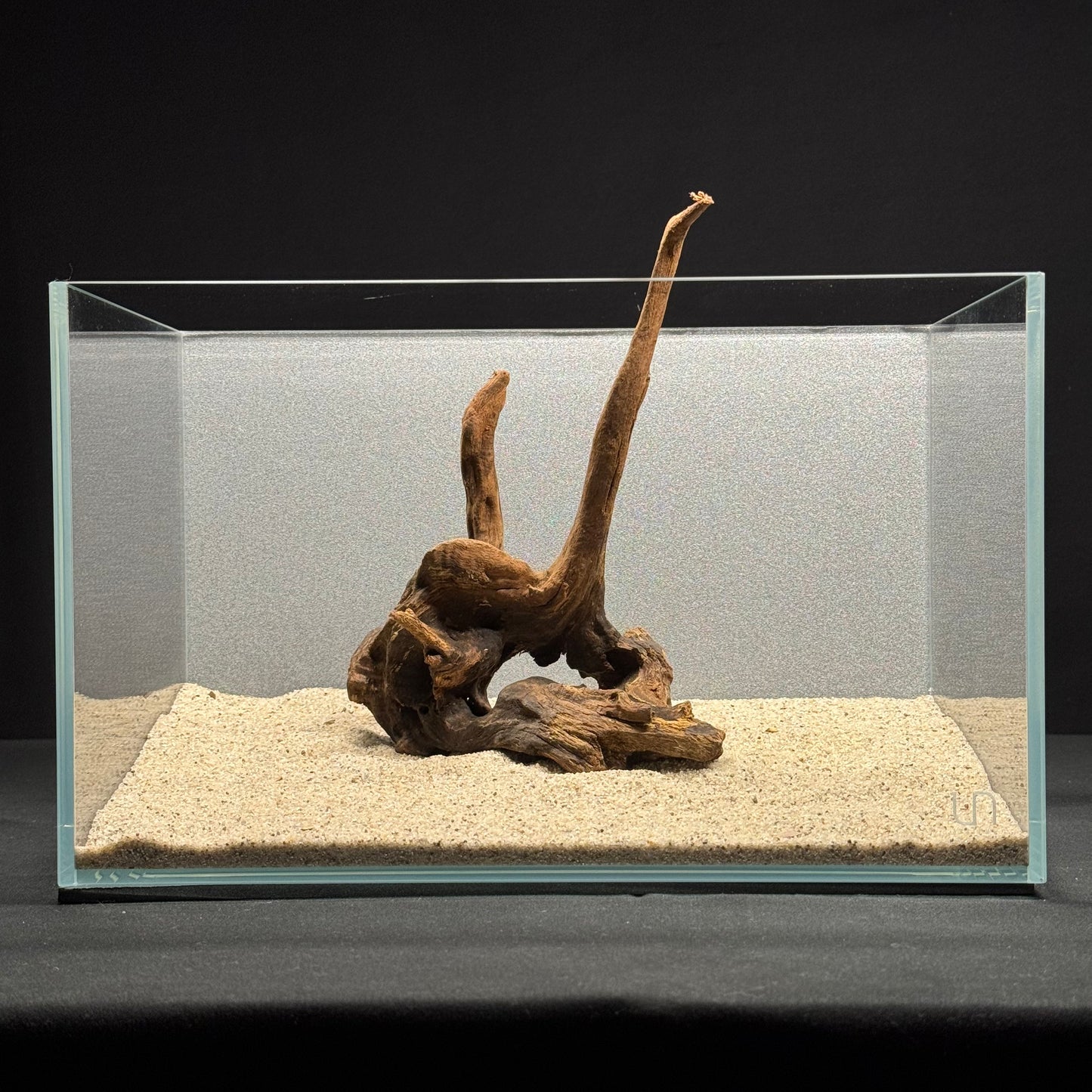 9”-11” Malaysian Driftwood