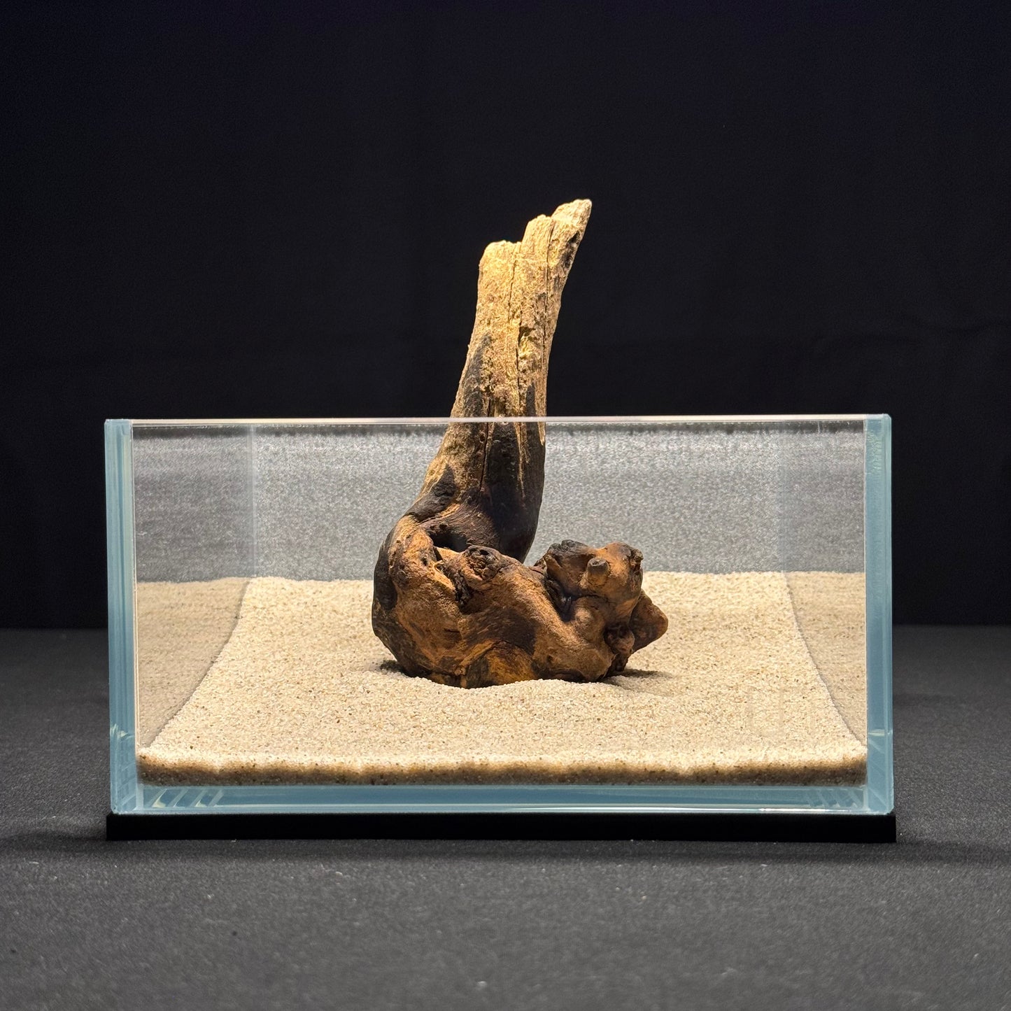 5"-6” Malaysian Driftwood